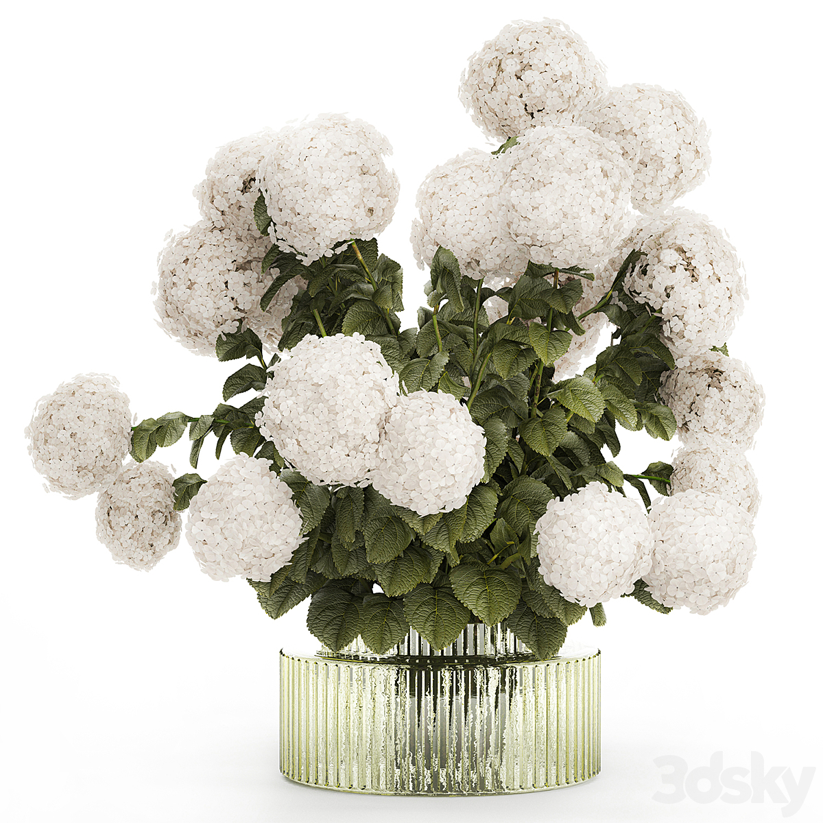 Bouquet hydrangea 0106_小熊猫超级