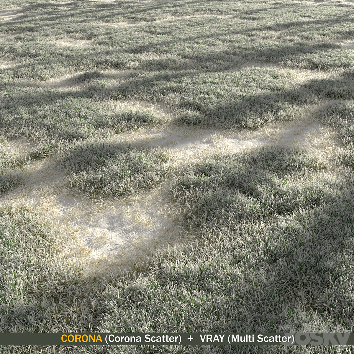 Snowy Winter Grass_小熊猫超级