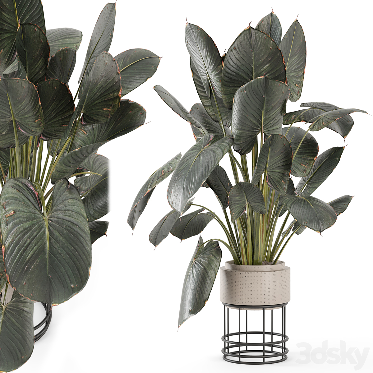 Indoor 植物 Handmade 石材 Pots - 套装 2048_小熊猫超级