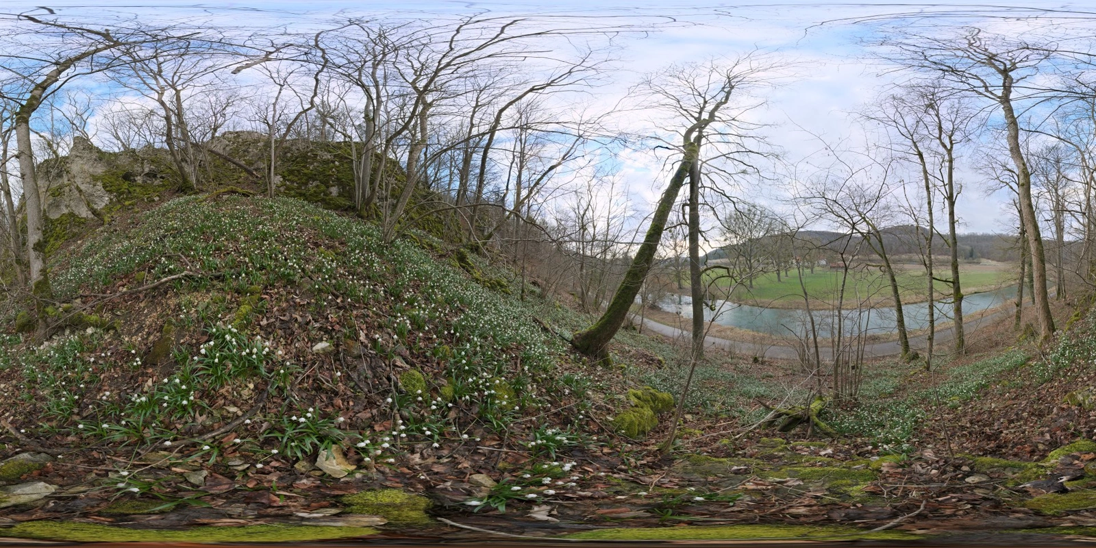 Flower Hillside_小熊猫超级