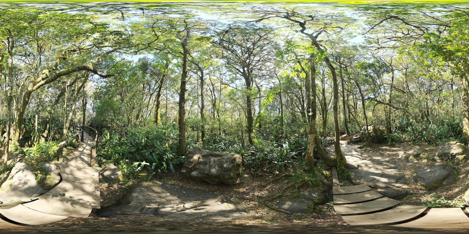 Rainforest Trail_小熊猫超级