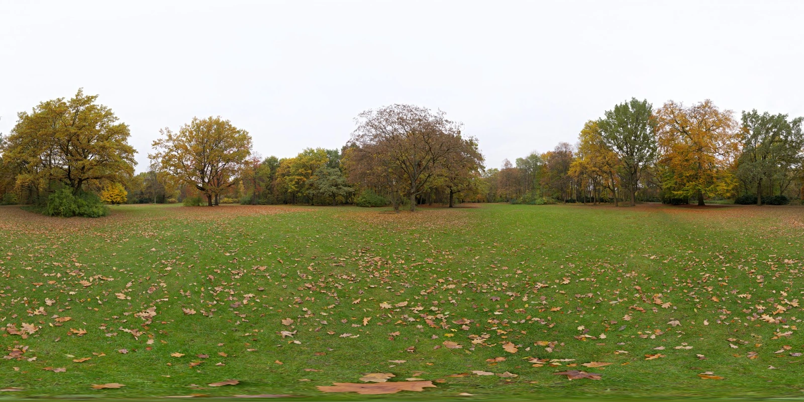 Tiergarten_小熊猫超级