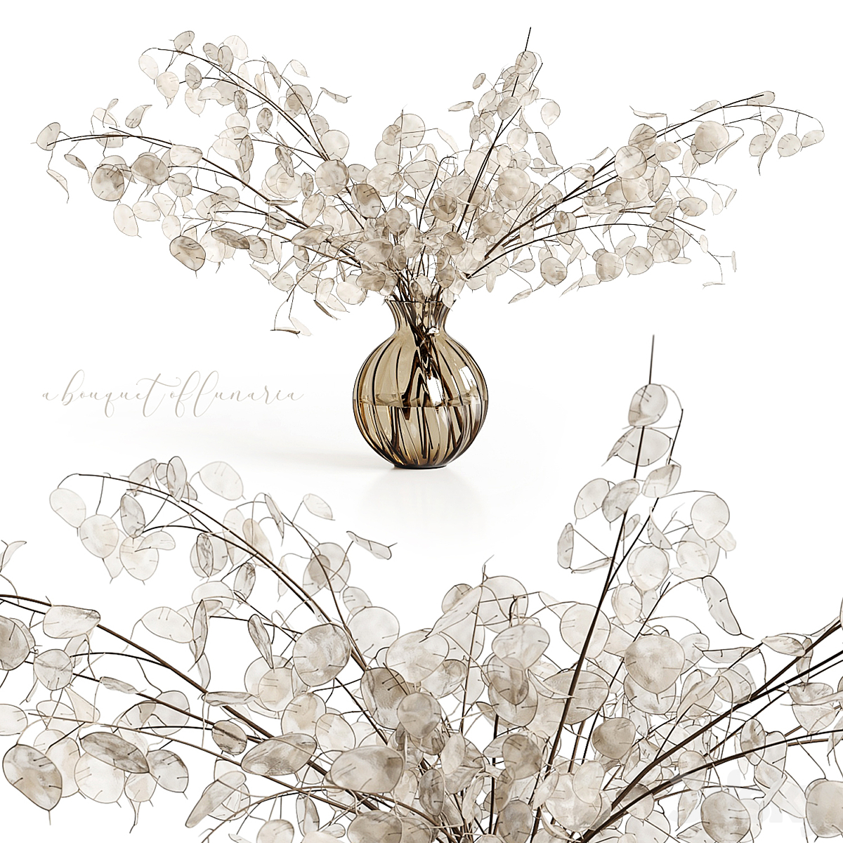 ABouquetOfLunaria 2014_小熊猫超级