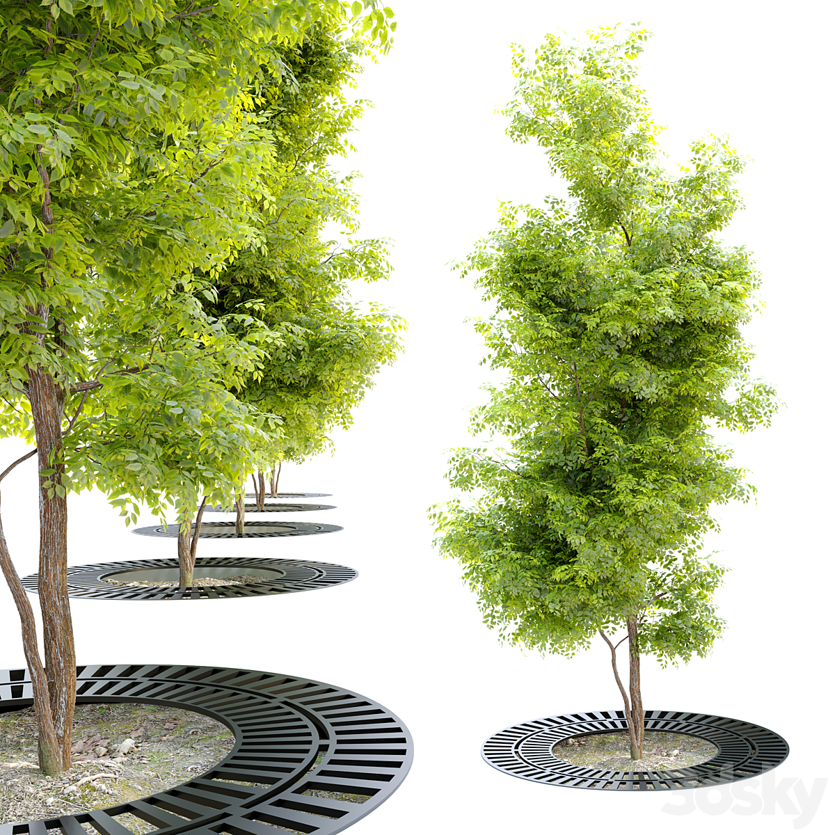 Tree 搭配 金属 grate_小熊猫超级