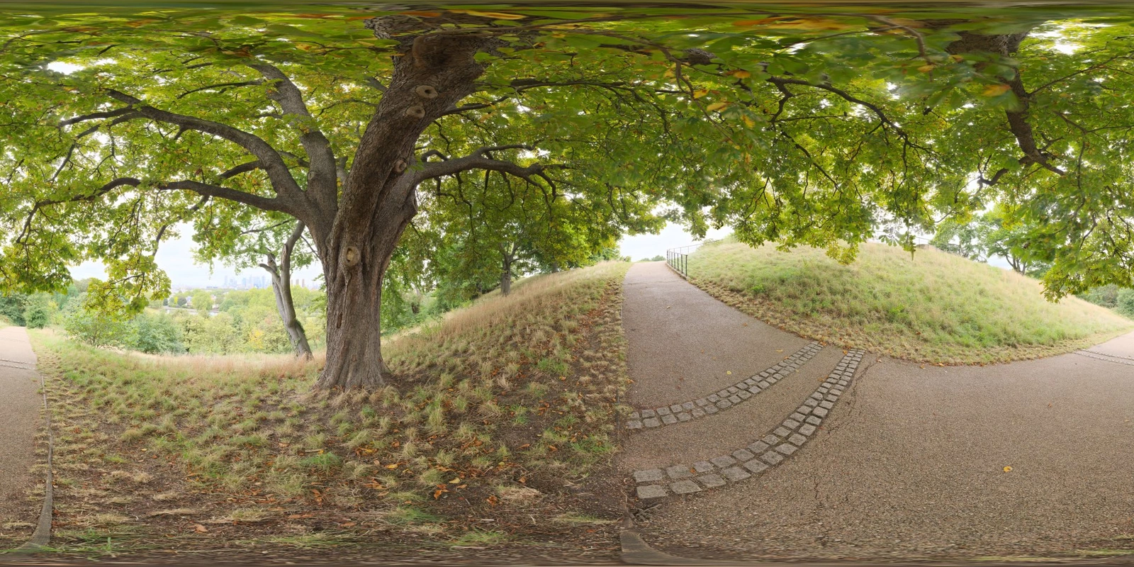 Greenwich 公园02_小熊猫超级