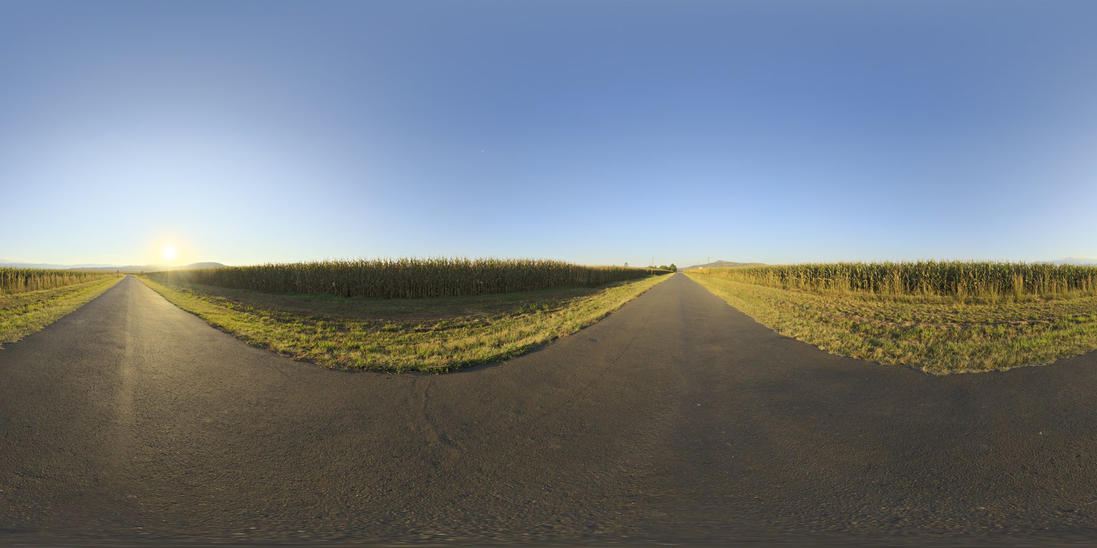 Mealie 道路_小熊猫超级