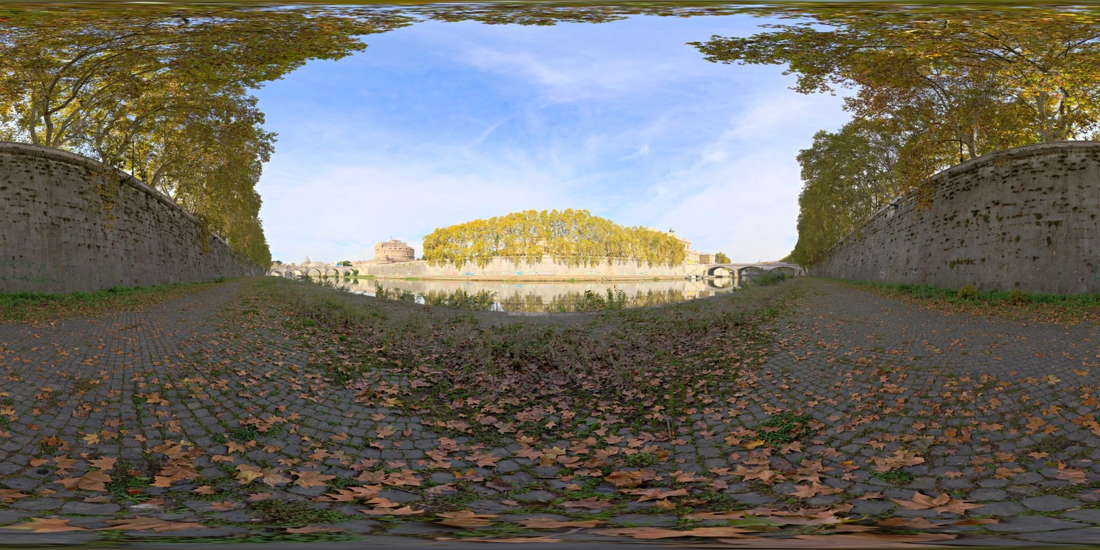 Tiber 2_小熊猫超级