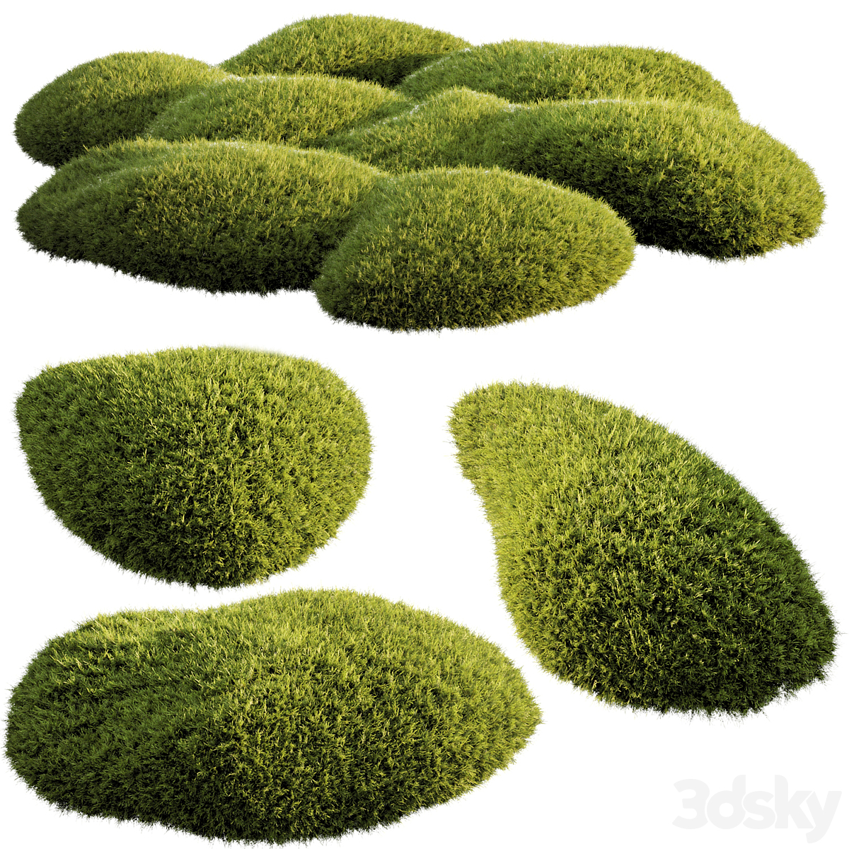 bush tree 040_小熊猫超级