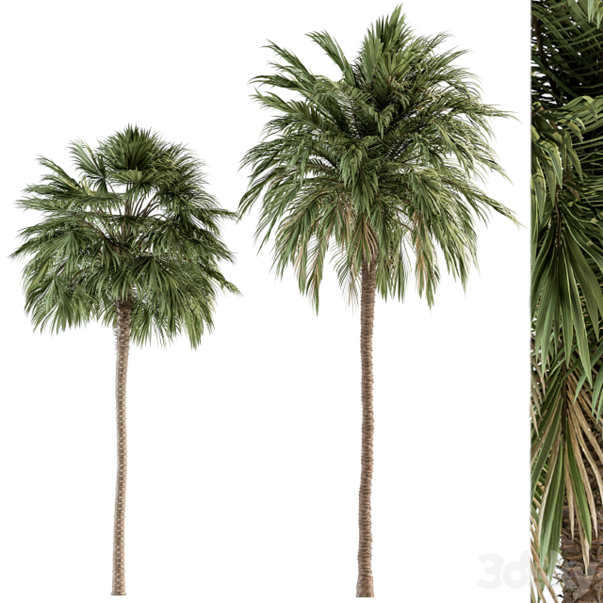 Tree-套装53( )_小熊猫超级