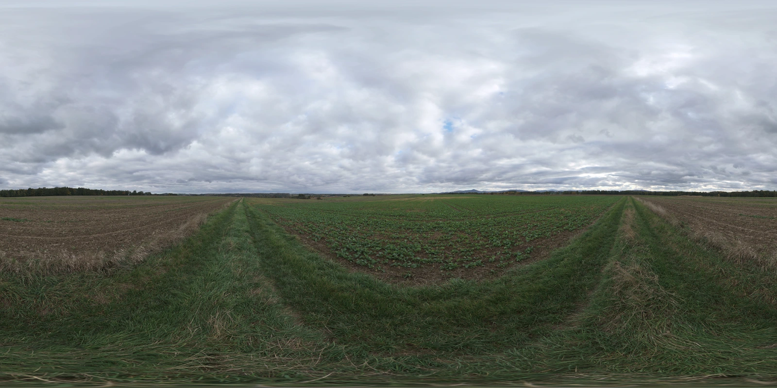 Farmland 阴天_小熊猫超级