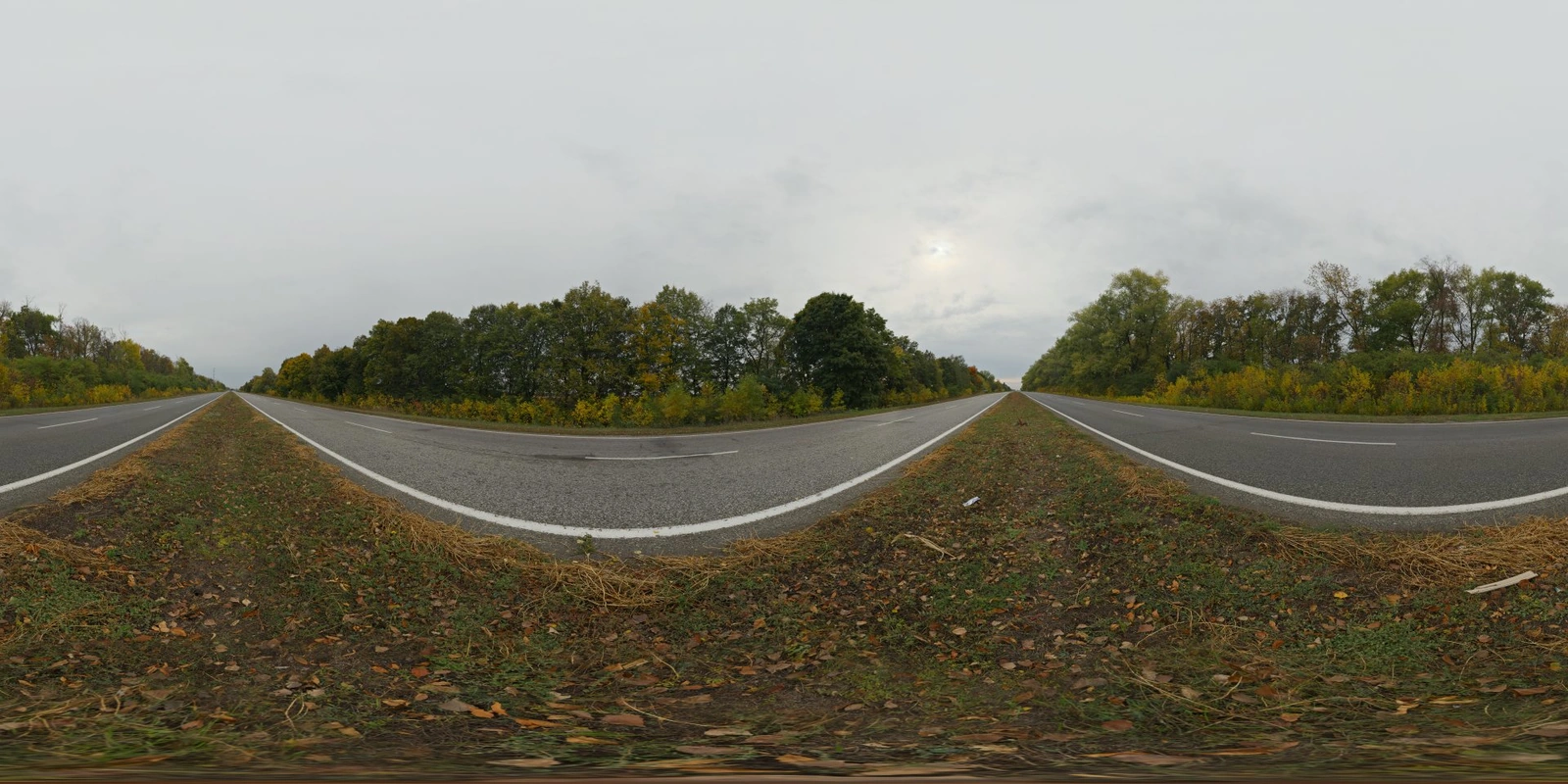 Autumn 道路_小熊猫超级