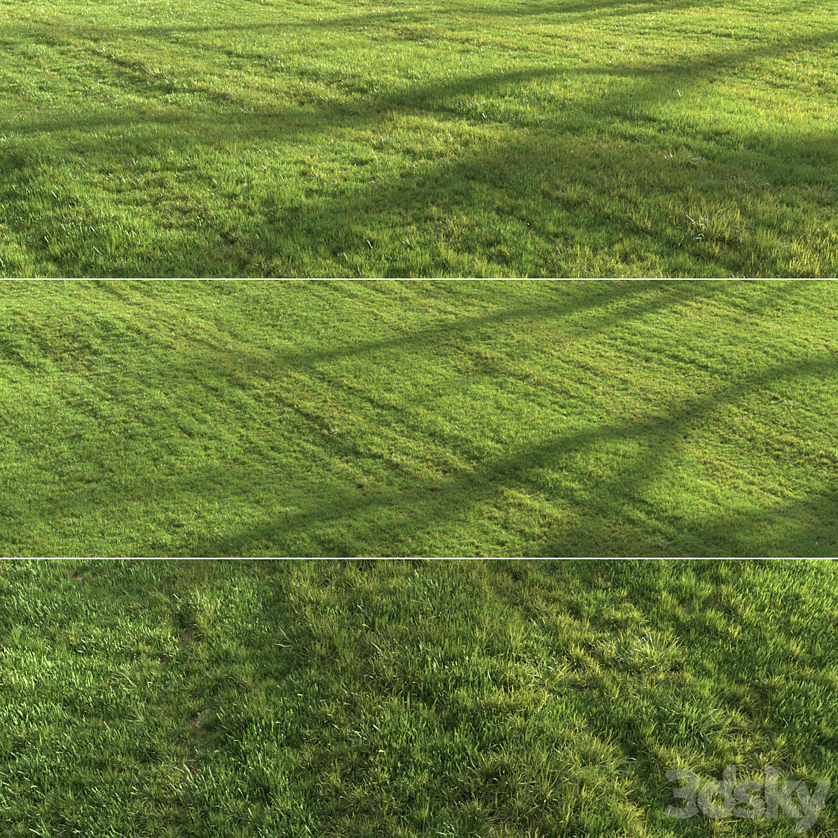 Summer grass_小熊猫超级