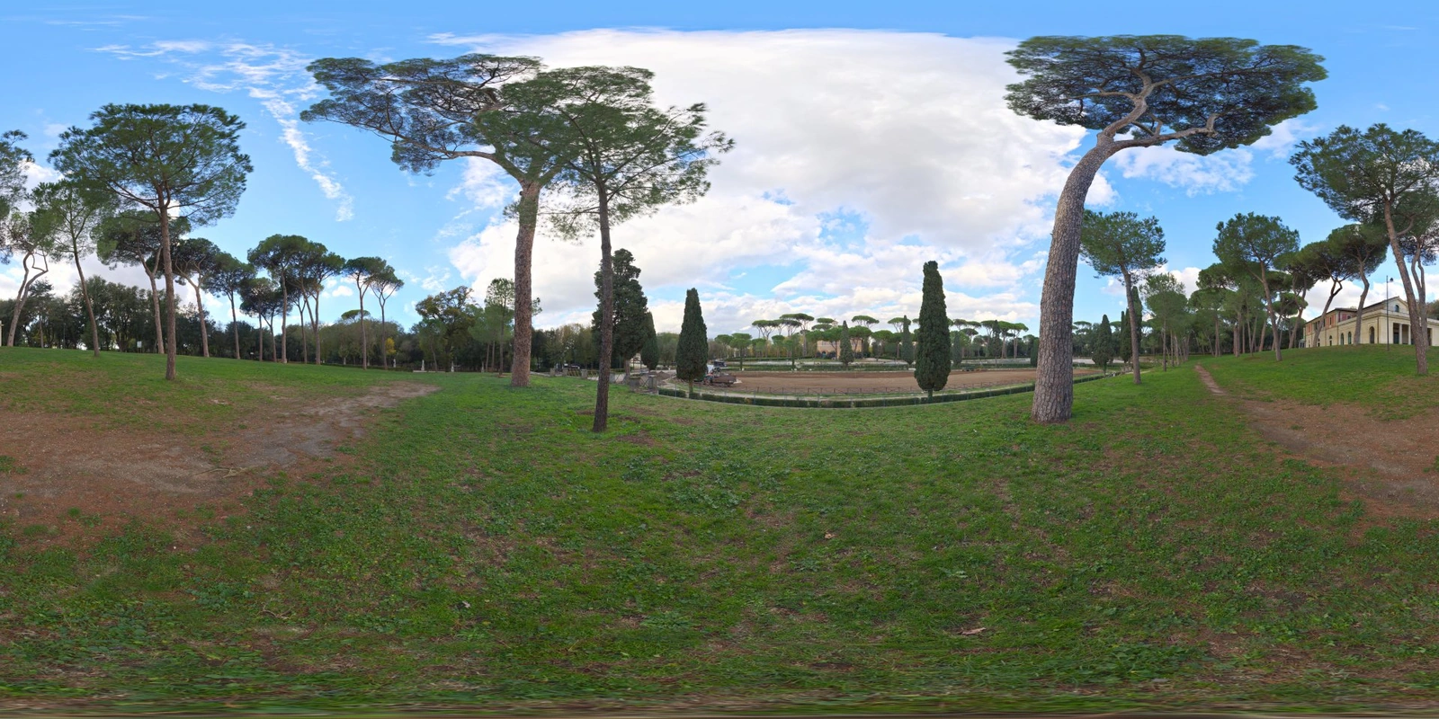 Stone Pines_小熊猫超级