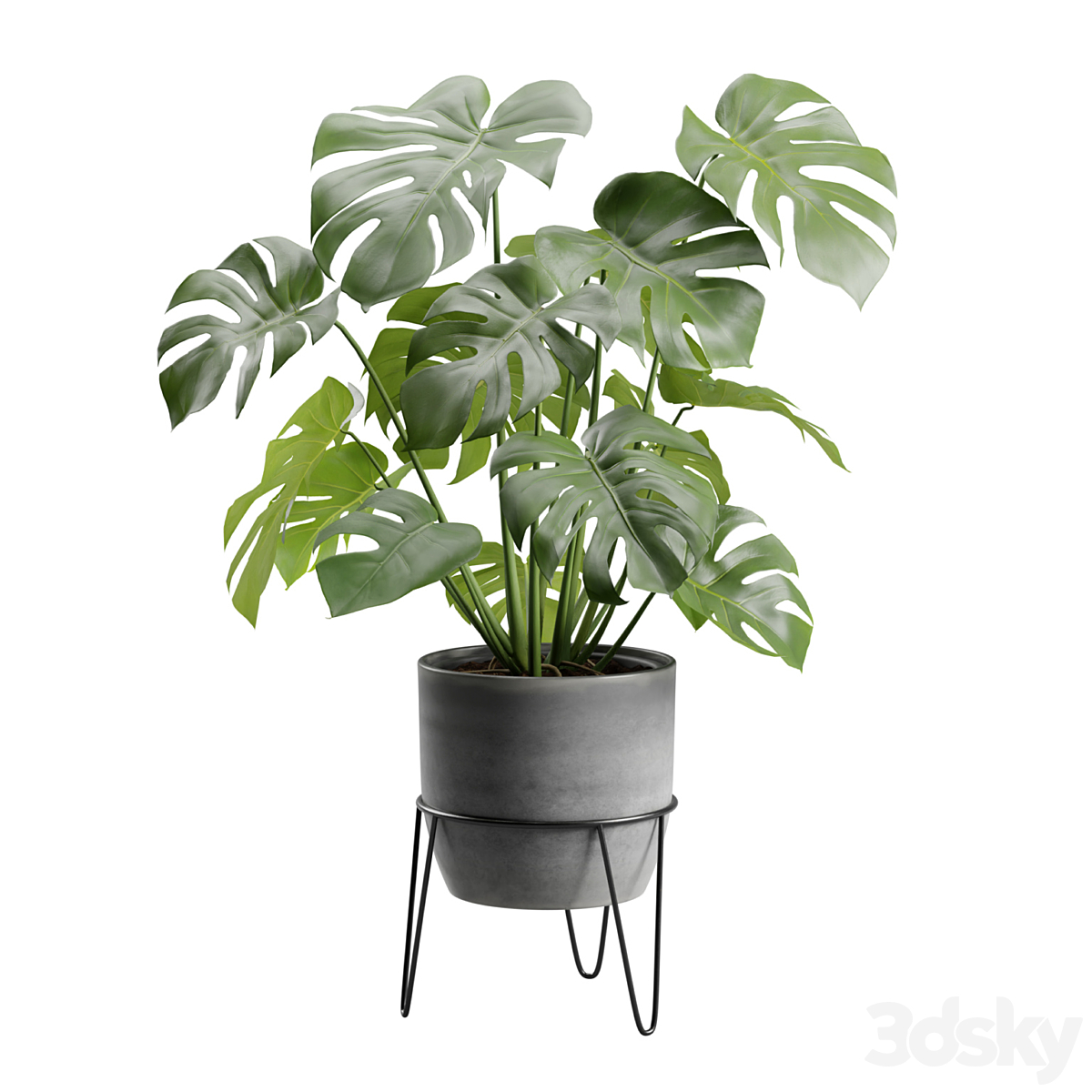 MONSTERA DELICIOSA POT 支架_小熊猫超级