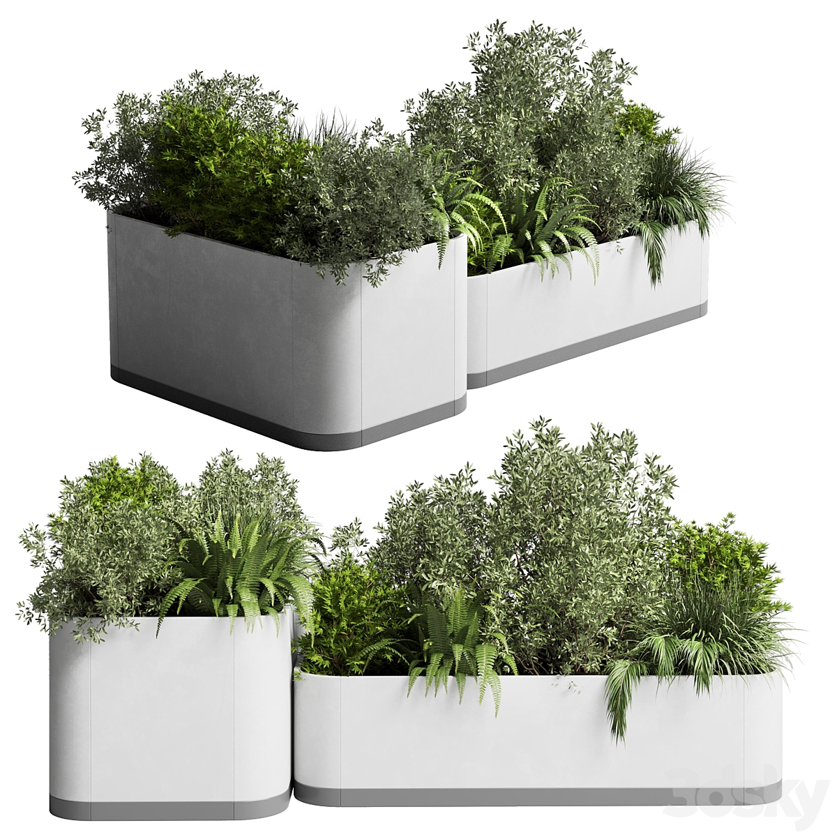 支架 植物 收纳盒 - collection Indoor 植物 212 concrete 花瓶 pot fern grass_小熊猫超级