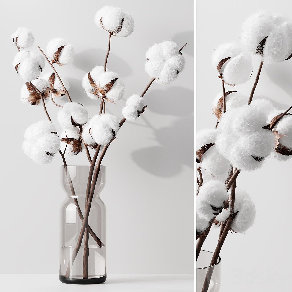 Cotton_小熊猫超级
