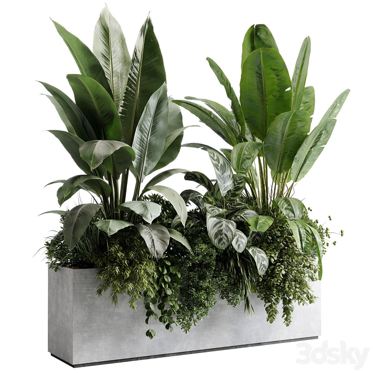 办公 植物 - concrete 收纳盒 植物 on 支架 - 套装 indoor 植物 580_小熊猫超级