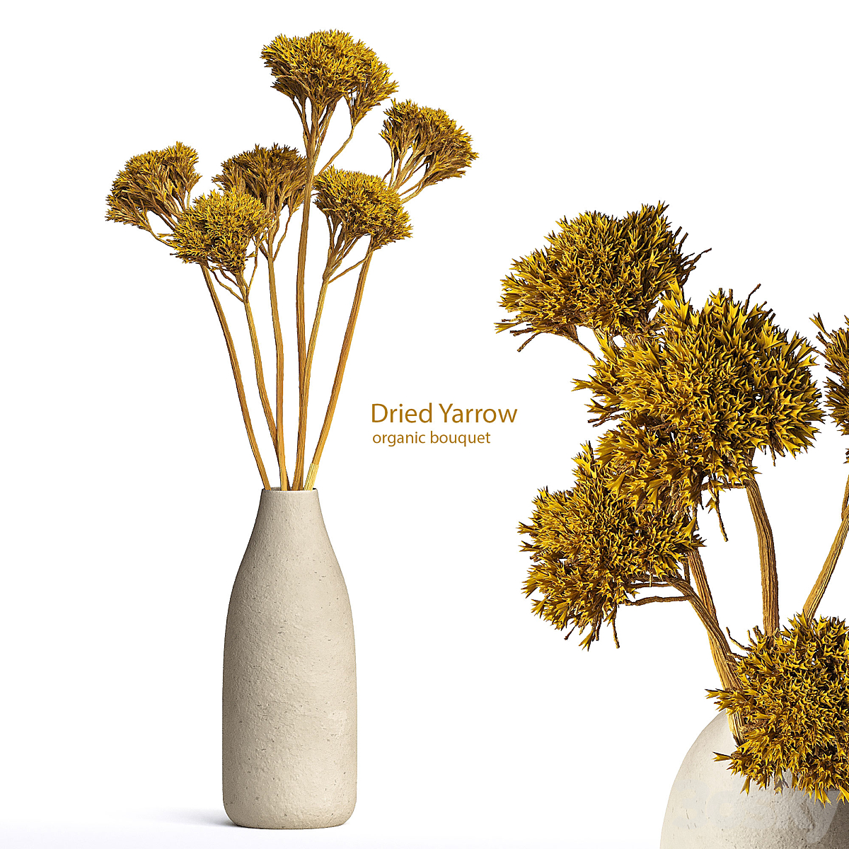 Dried Yarrow Bouquet_小熊猫超级