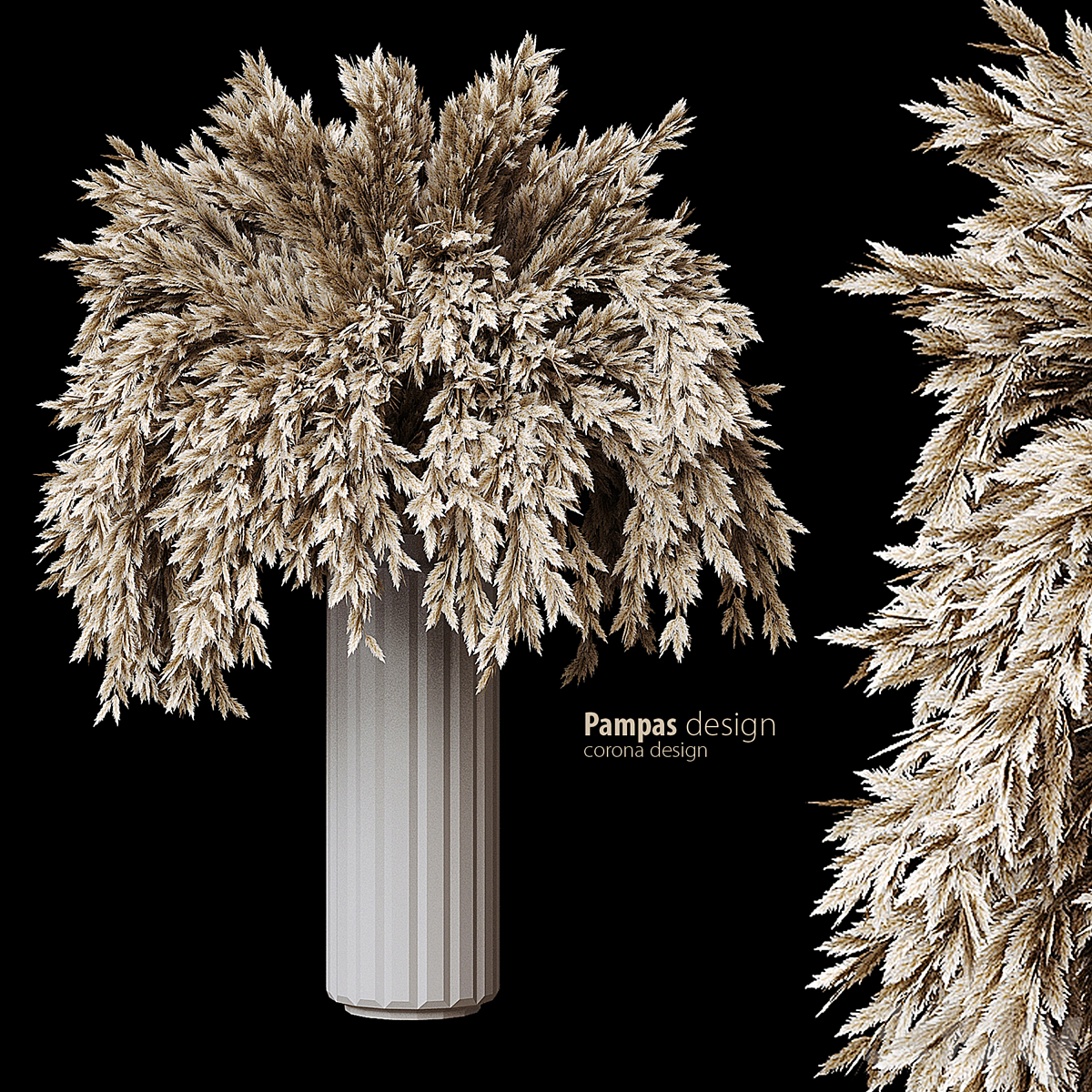 Pampas_小熊猫超级