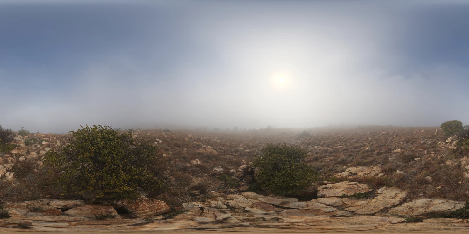 Kloofendal 28d Misty_小熊猫超级