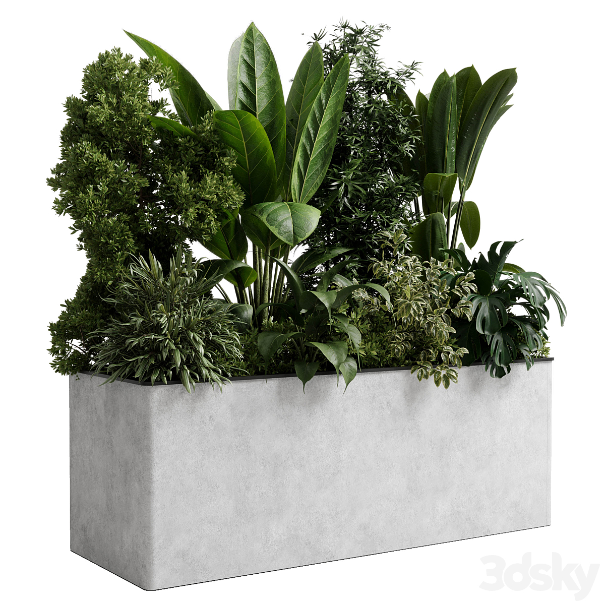 办公 植物 - concrete 收纳盒 植物 on 支架 - 套装 indoor 植物 554_小熊猫超级