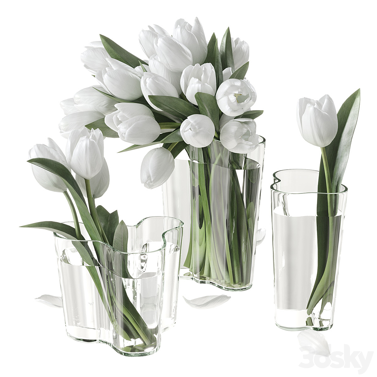 tulips bouquet 2012_小熊猫超级