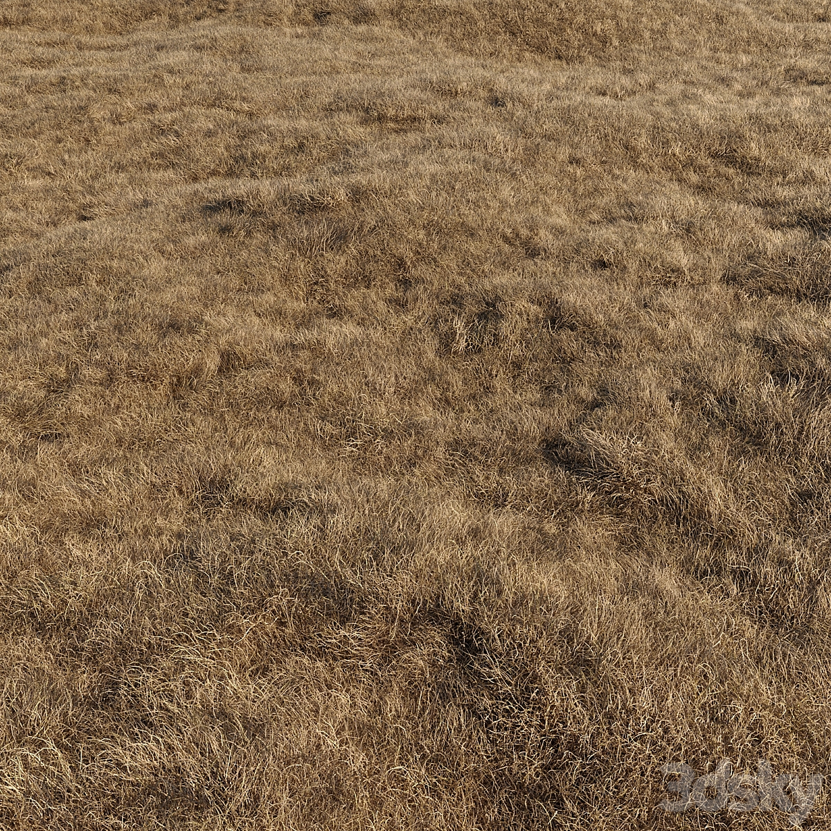 dried grass_小熊猫超级