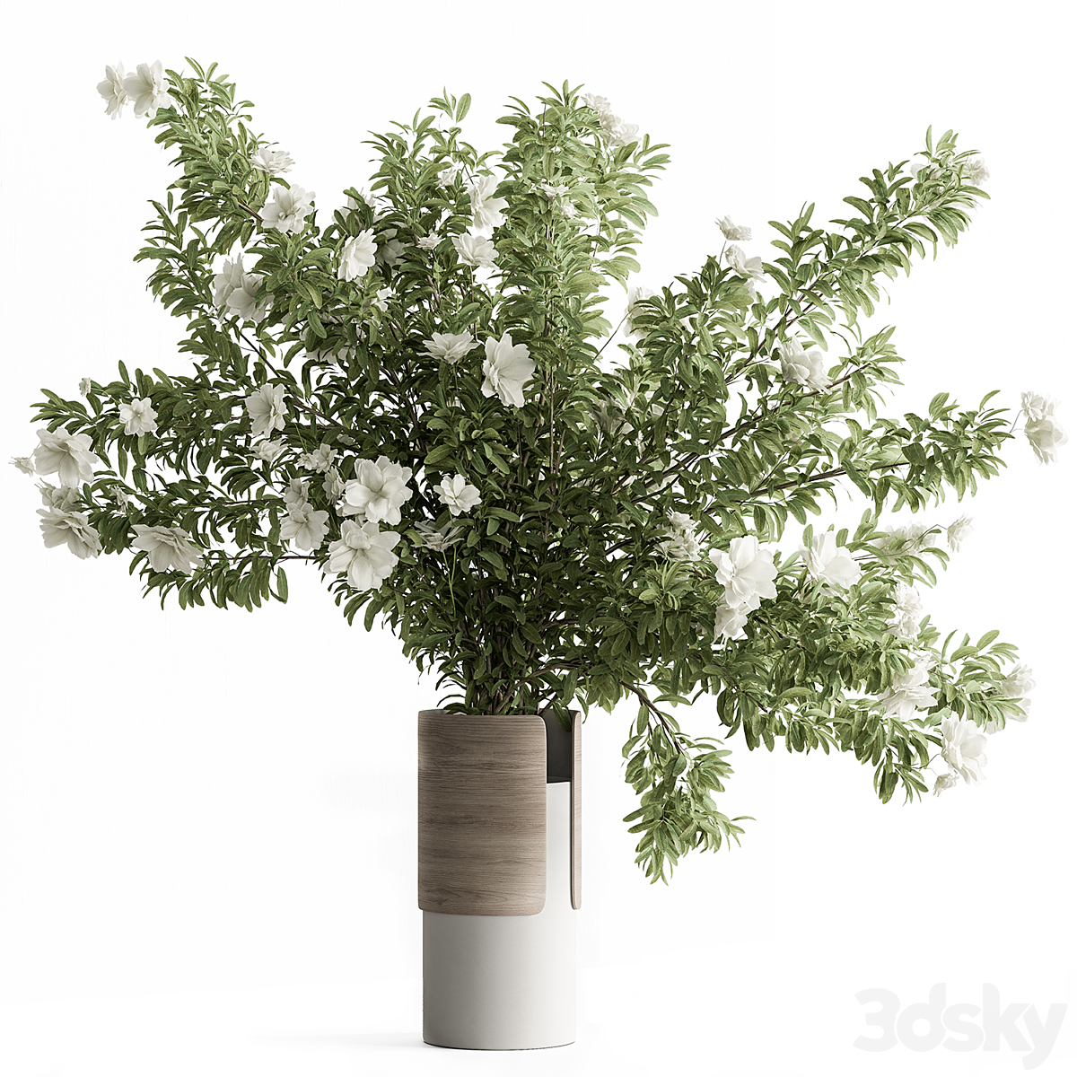 Bouquet-套装179( )_小熊猫超级