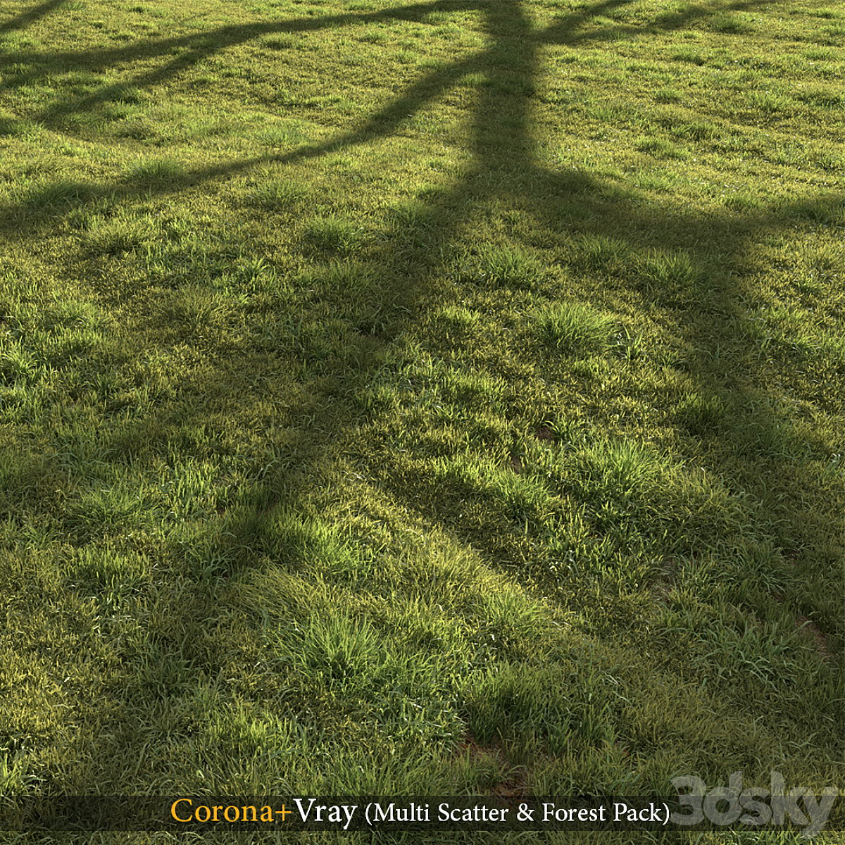 Grass landscape_小熊猫超级