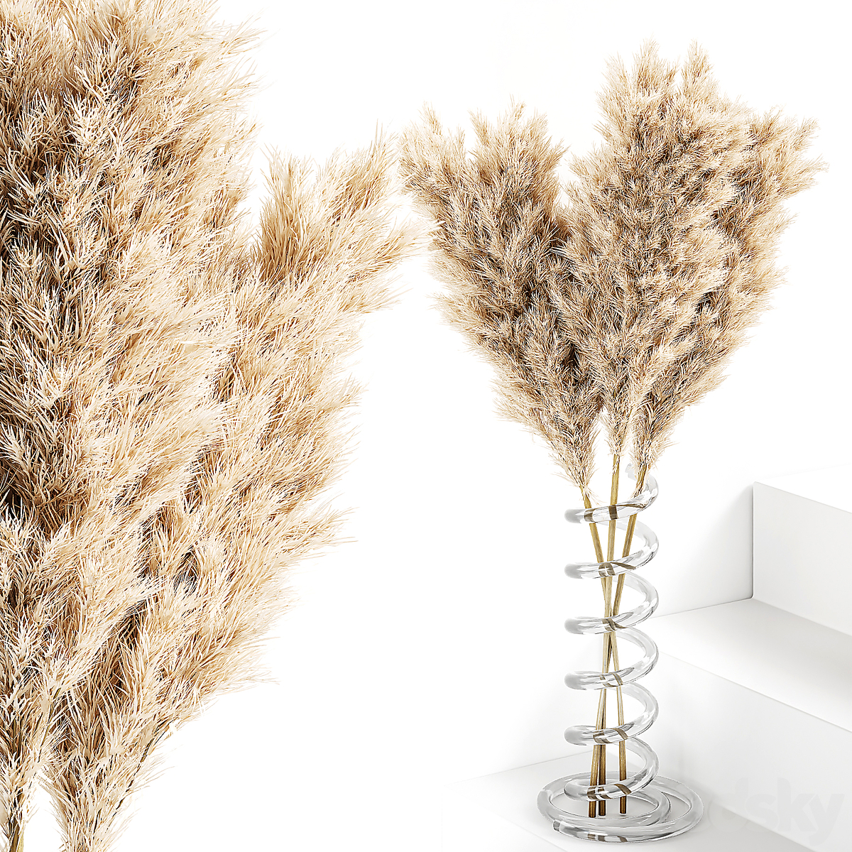 Pampas Grass a Spiral 花瓶 Yoogeen 3ddd_小熊猫超级