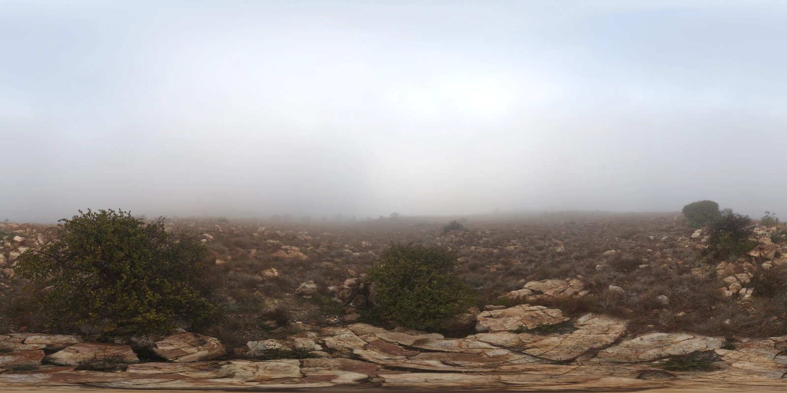 Kloofendal Misty 清晨_小熊猫超级