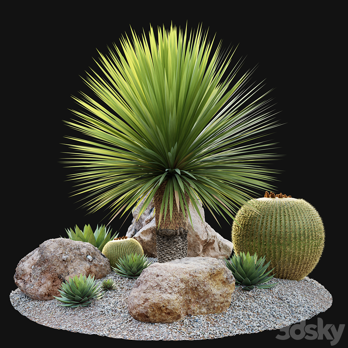 Australian garden_小熊猫超级