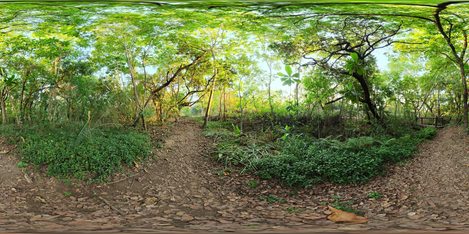 River Walk 1_小熊猫超级