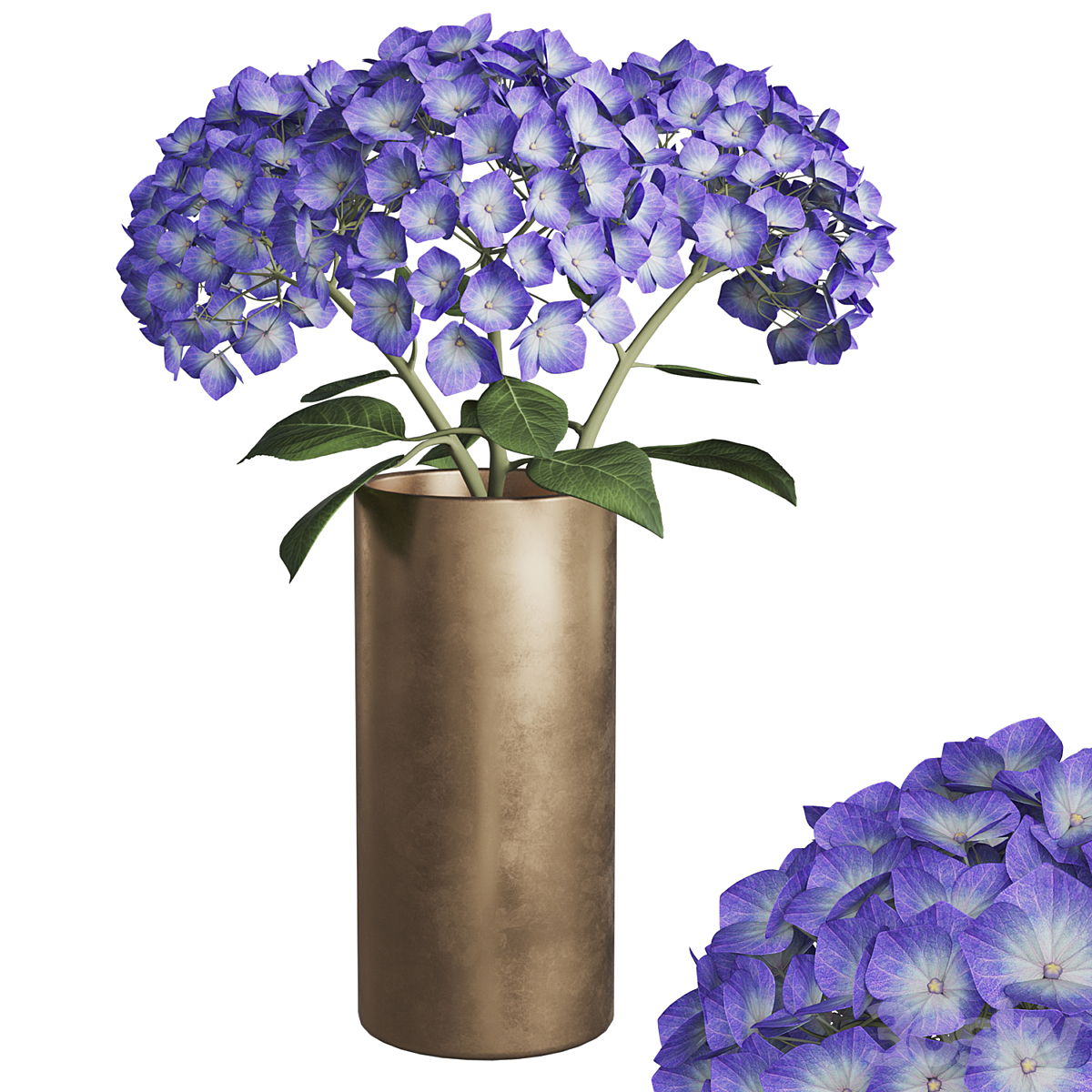hortensia max 2018_小熊猫超级