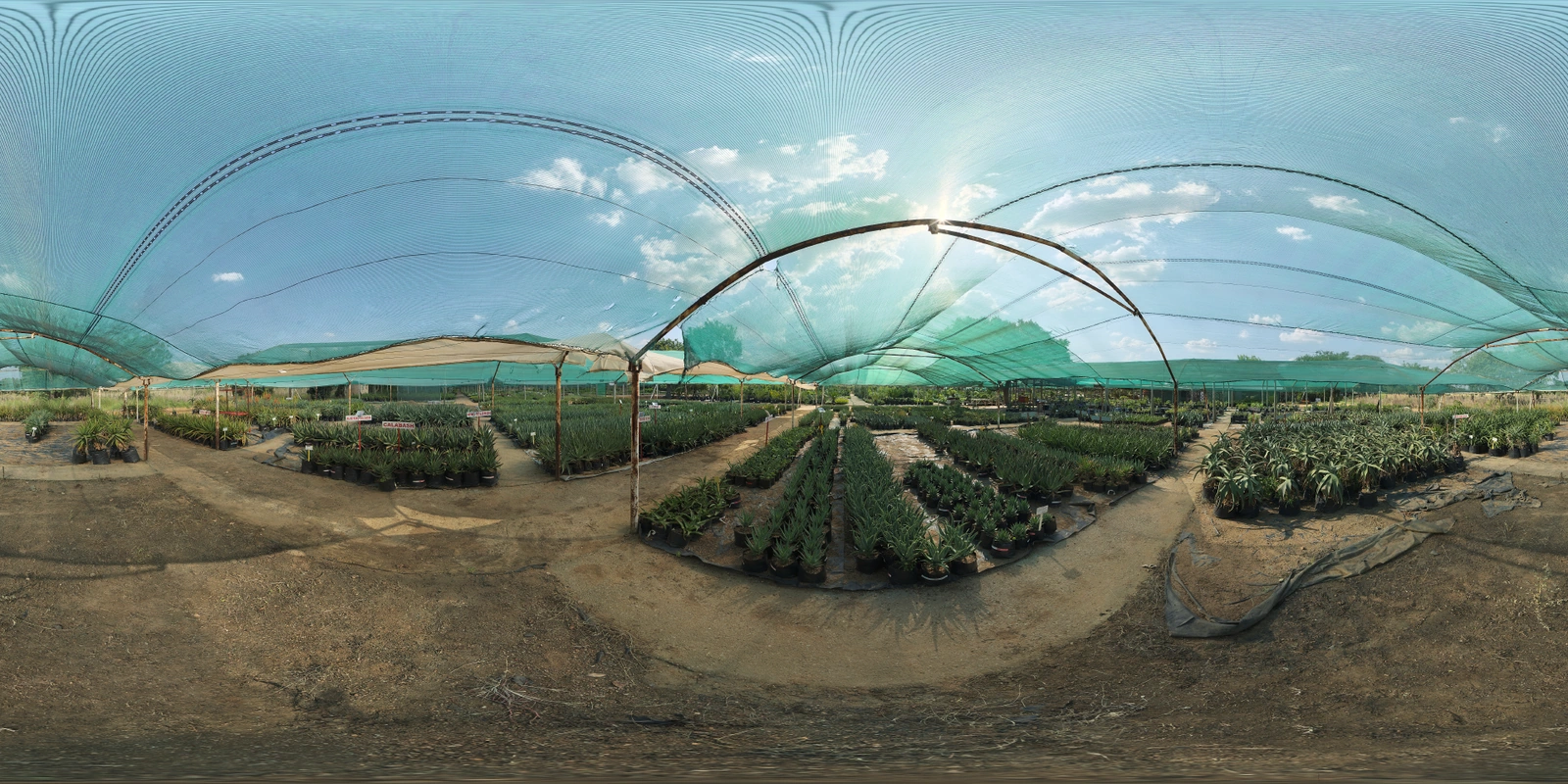 Aloe Farm Shade 房屋_小熊猫超级