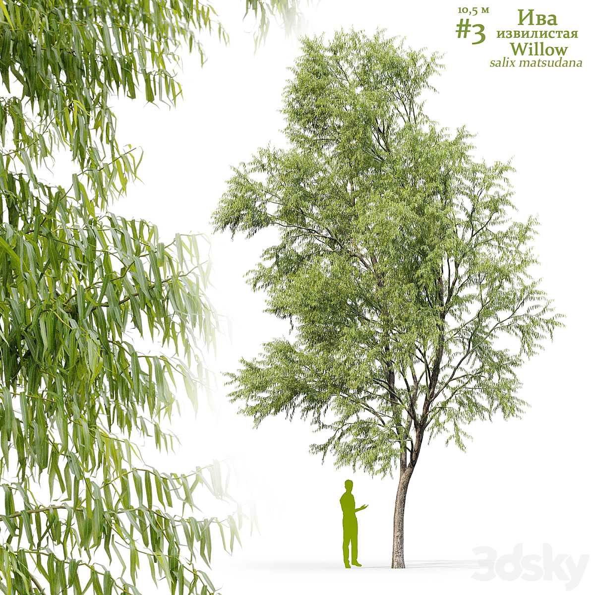 Willow V3 2016_小熊猫超级