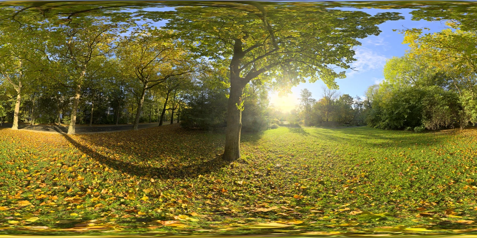 Sunny Vondelpark_小熊猫超级