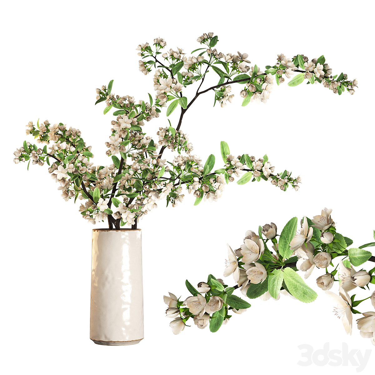 Apple branch 花瓶_小熊猫超级