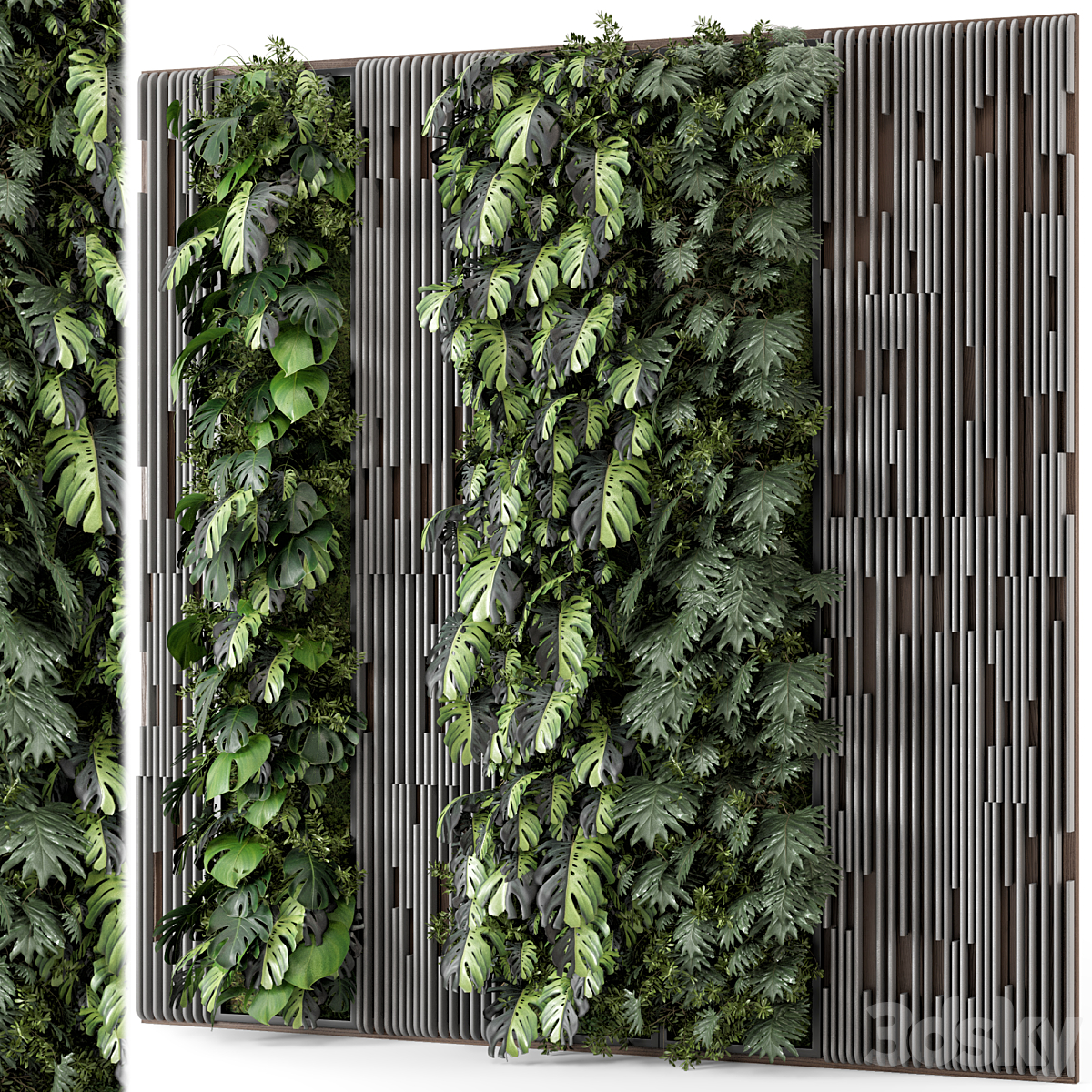 Indoor Wall Vertical Garden 套装 - 套装 1164_小熊猫超级