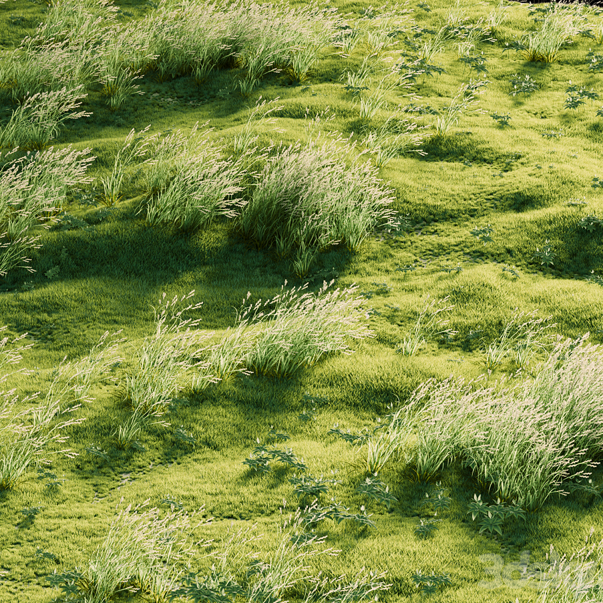 Grass_小熊猫超级