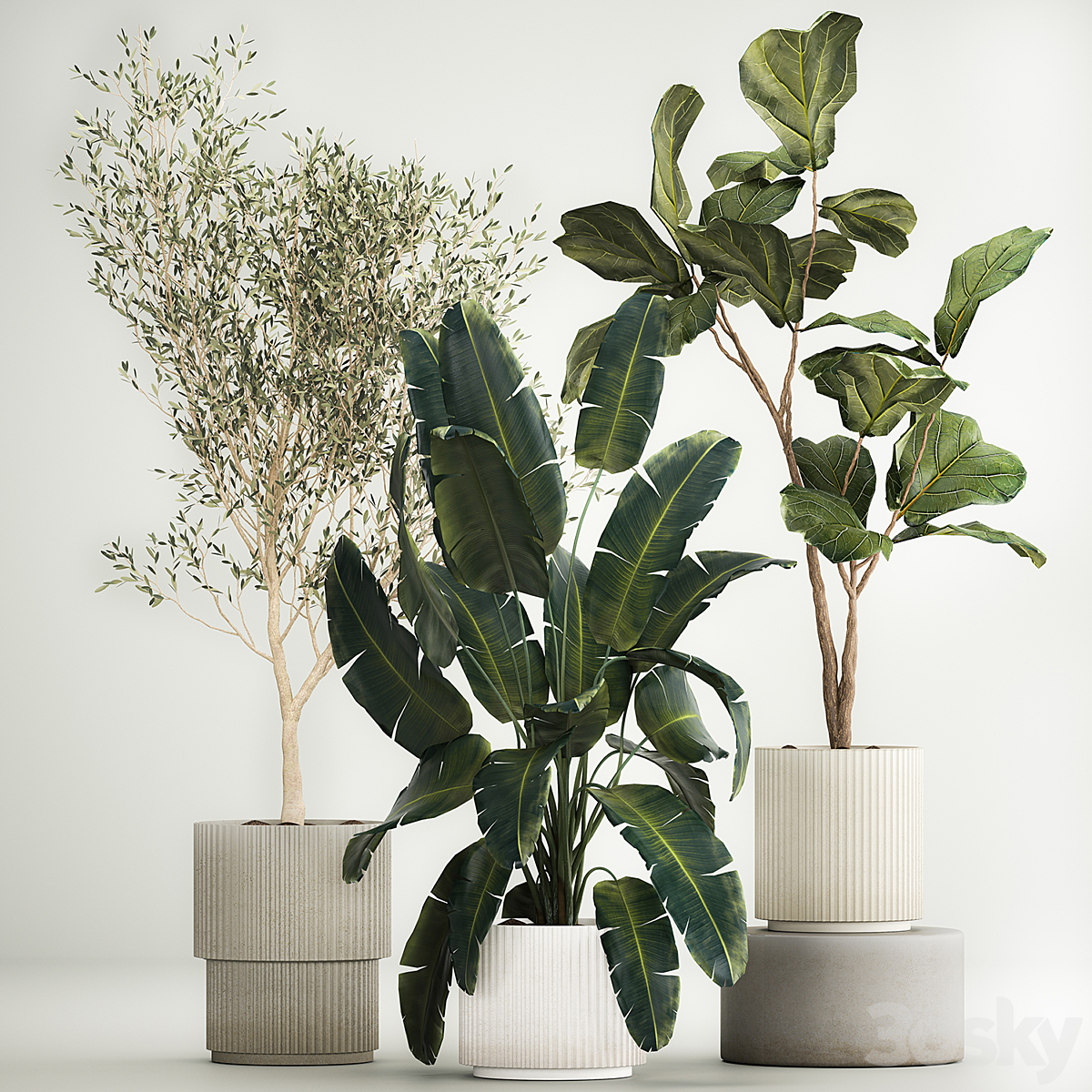套装 植物 07042023_小熊猫超级