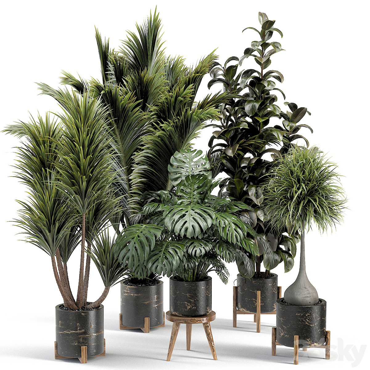 indoor 植物 collection 001_小熊猫超级