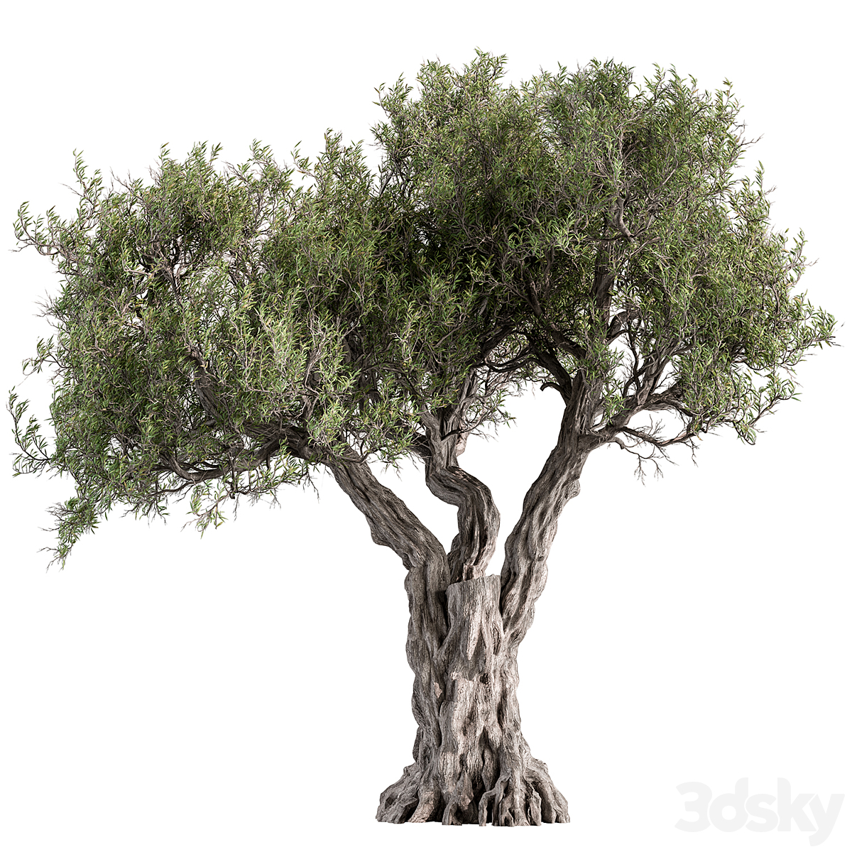 Tree-套装195( )_小熊猫超级