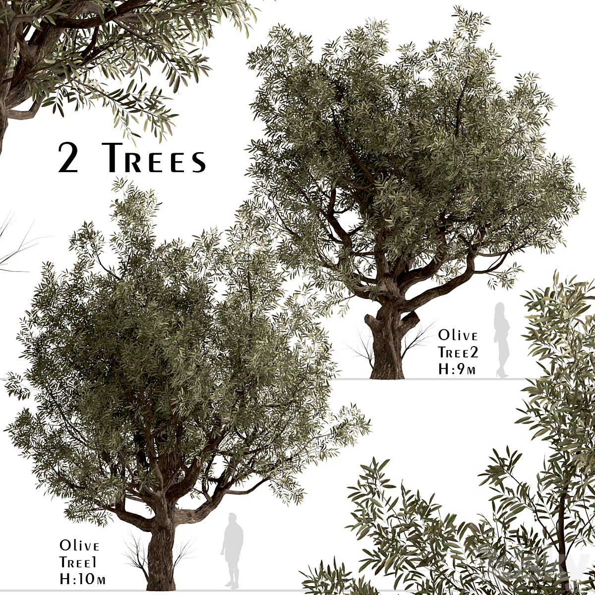 Olive Tree 套装_afca12_小熊猫超级