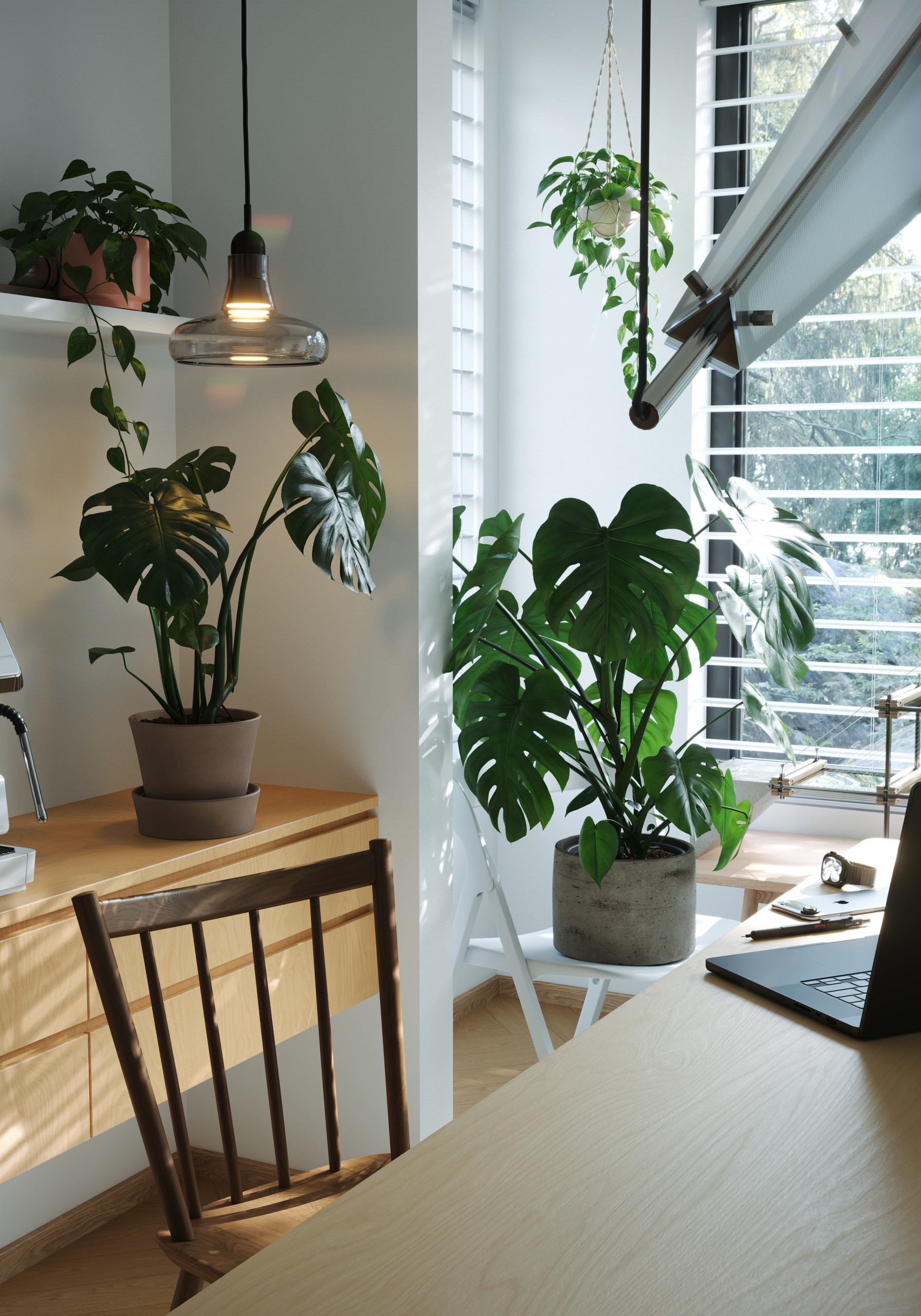 夏日元气小屋，图片 28