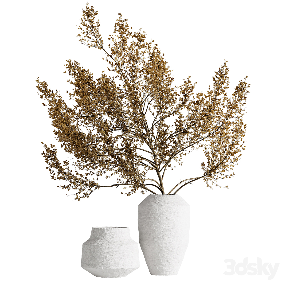 Dry Bouquet 03 VR_小熊猫超级